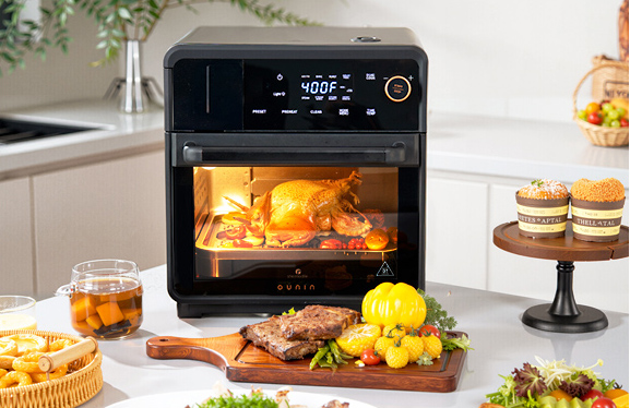 Ounin Pro Steam Oven